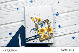 Photocentric Clear Stamps Extra Special Stamp Set