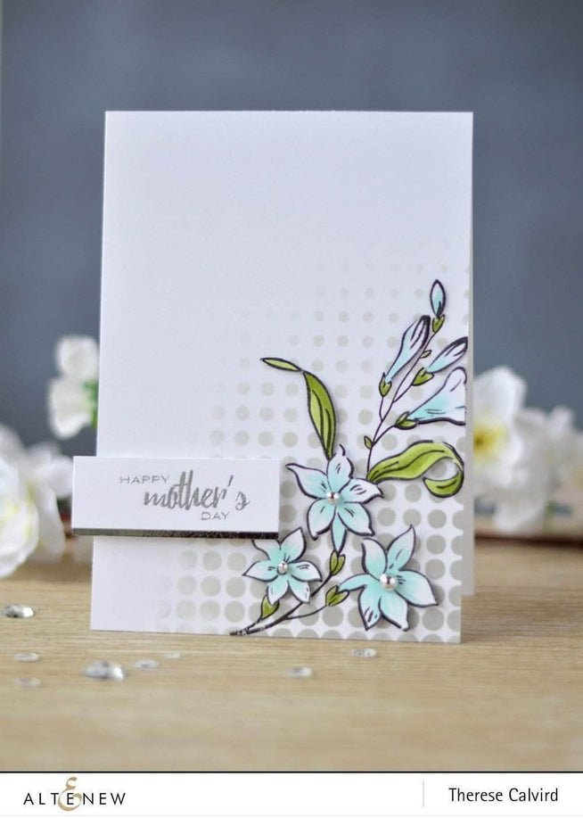 Photocentric Clear Stamps Extra Special Stamp Set