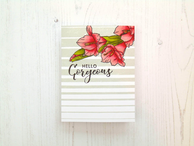 Photocentric Clear Stamps Hello Gorgeous Stamp Set