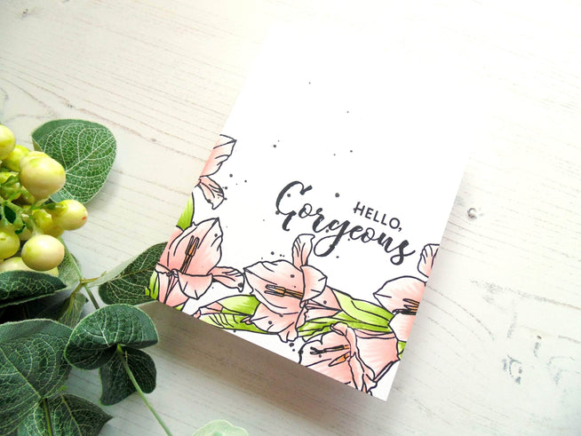 Photocentric Clear Stamps Hello Gorgeous Stamp Set