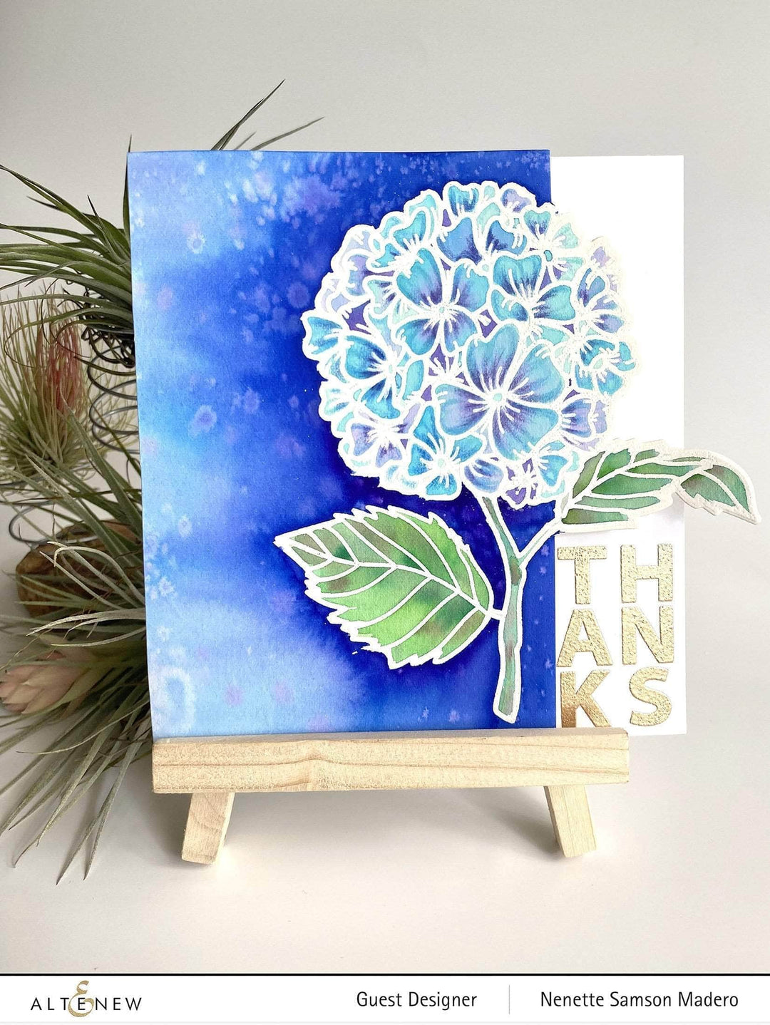 Photocentric Clear Stamps Hello Hydrangea Stamp Set