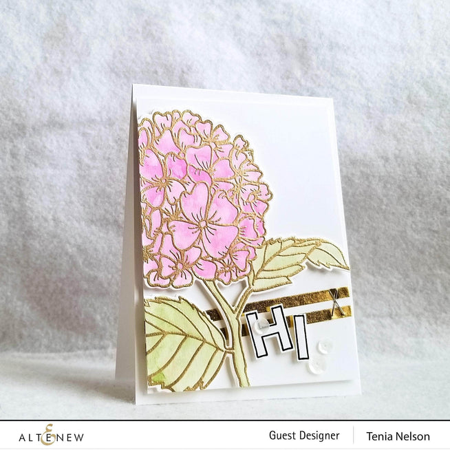 Photocentric Clear Stamps Hello Hydrangea Stamp Set