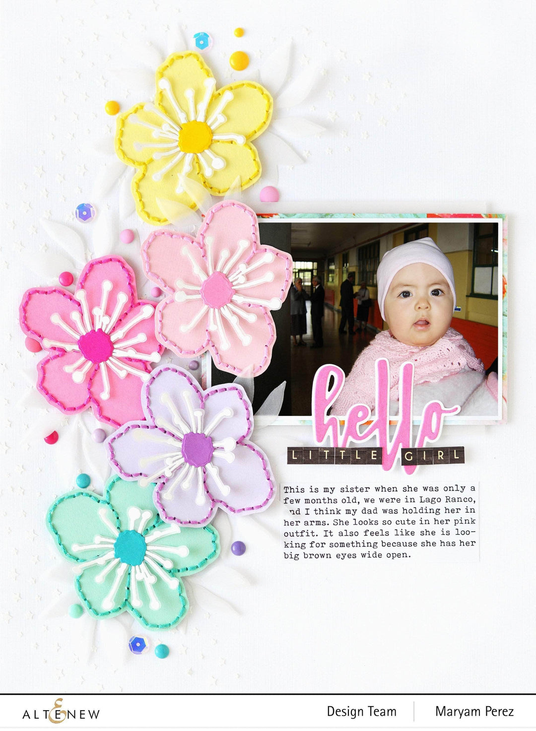Photocentric Clear Stamps Incredible Stamp Set