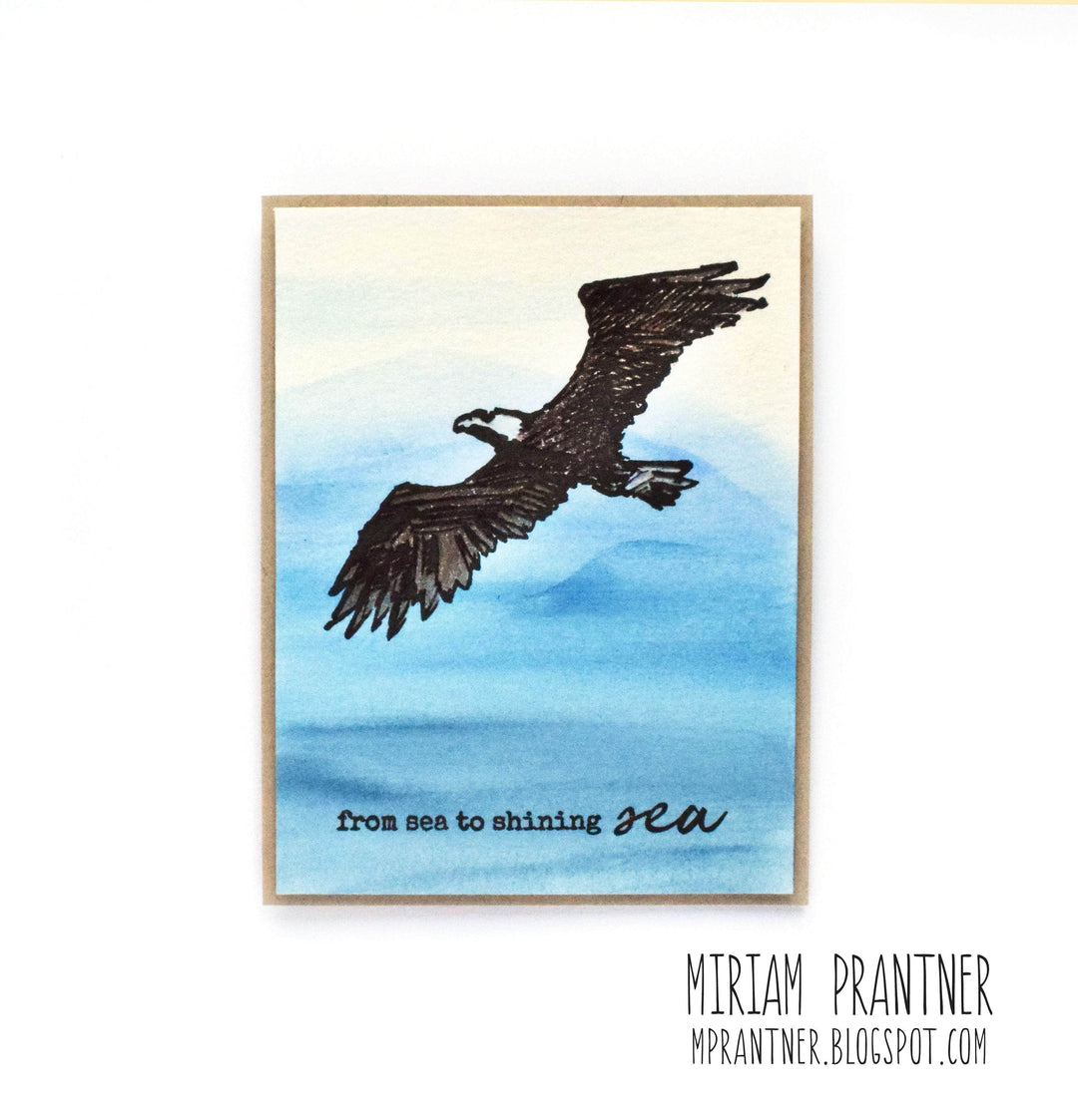 Photocentric Clear Stamps Z - Land of the Free Stamp Set