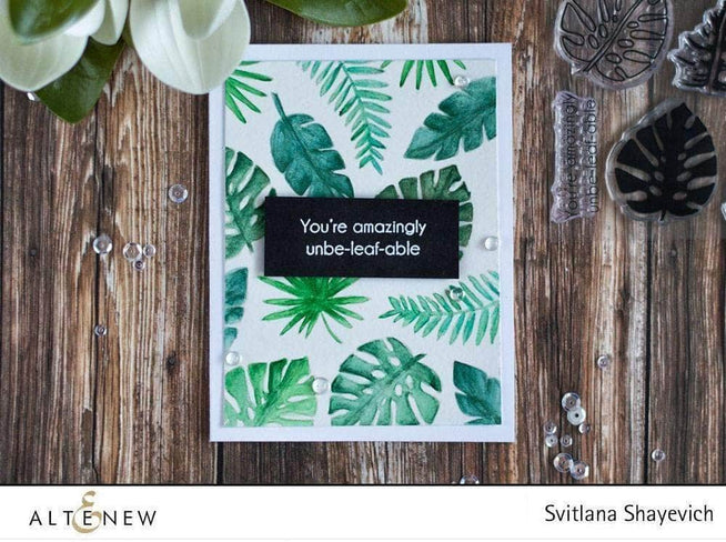 Photocentric Clear Stamps Parrot Paradise Stamp Set