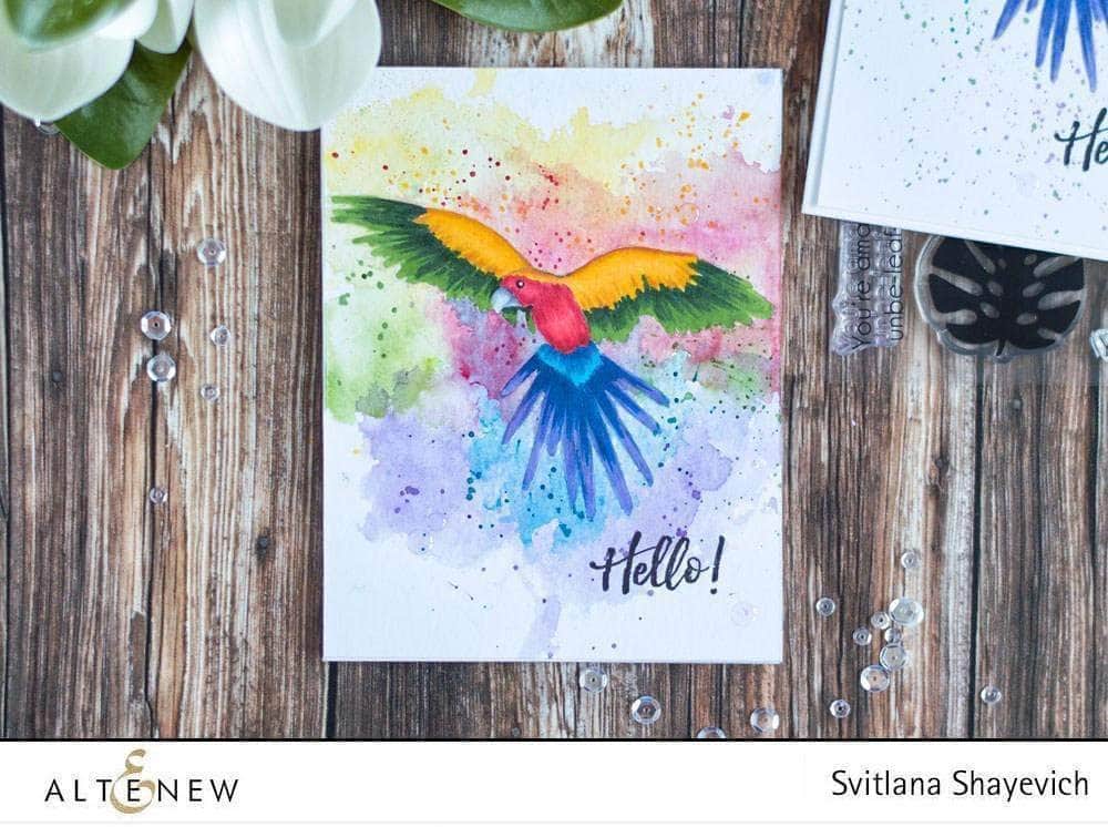 Photocentric Clear Stamps Parrot Paradise Stamp Set