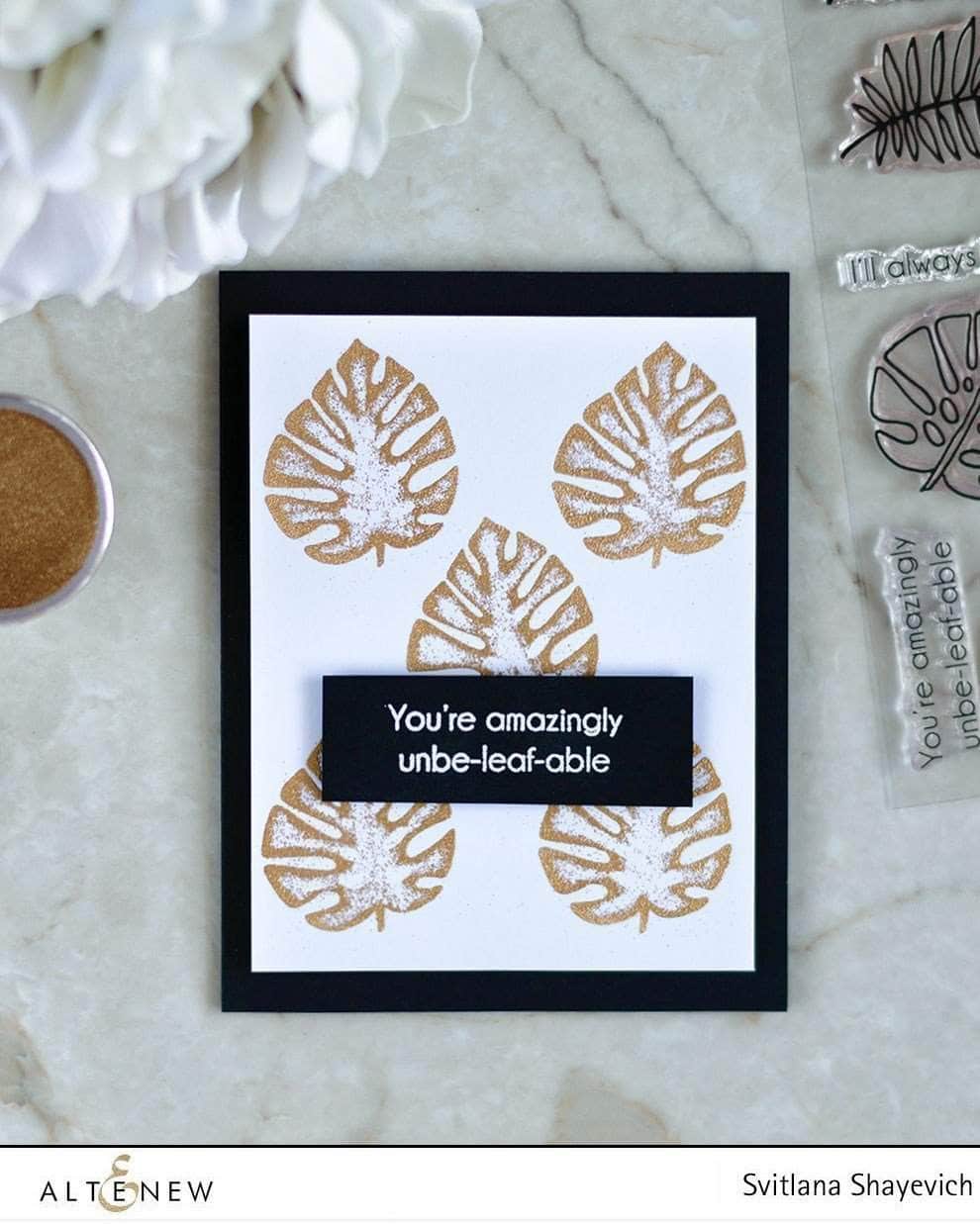 Photocentric Clear Stamps Parrot Paradise Stamp Set