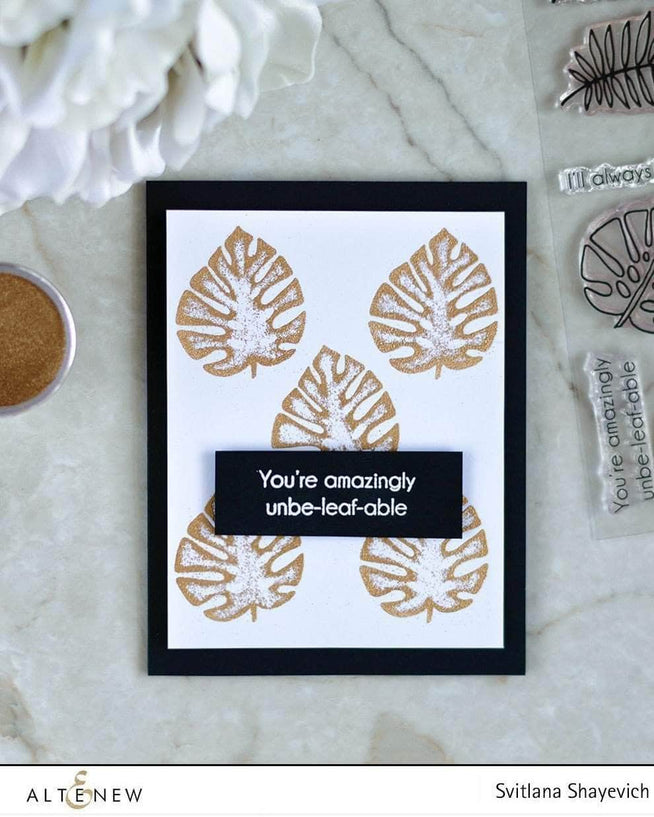 Photocentric Clear Stamps Parrot Paradise Stamp Set