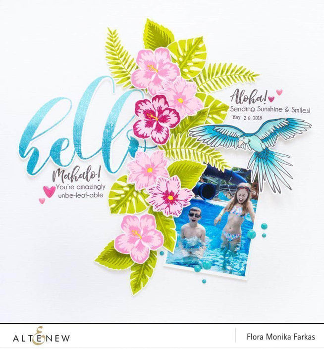 Photocentric Clear Stamps Parrot Paradise Stamp Set