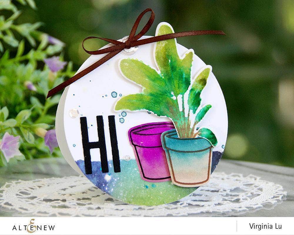 Photocentric Clear Stamps Potted Plants Stamp Set