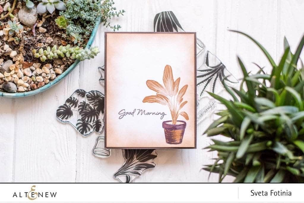 Photocentric Clear Stamps Potted Plants Stamp Set