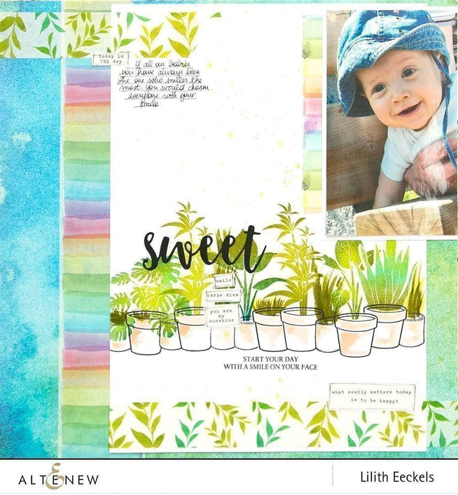 Photocentric Clear Stamps Potted Plants Stamp Set