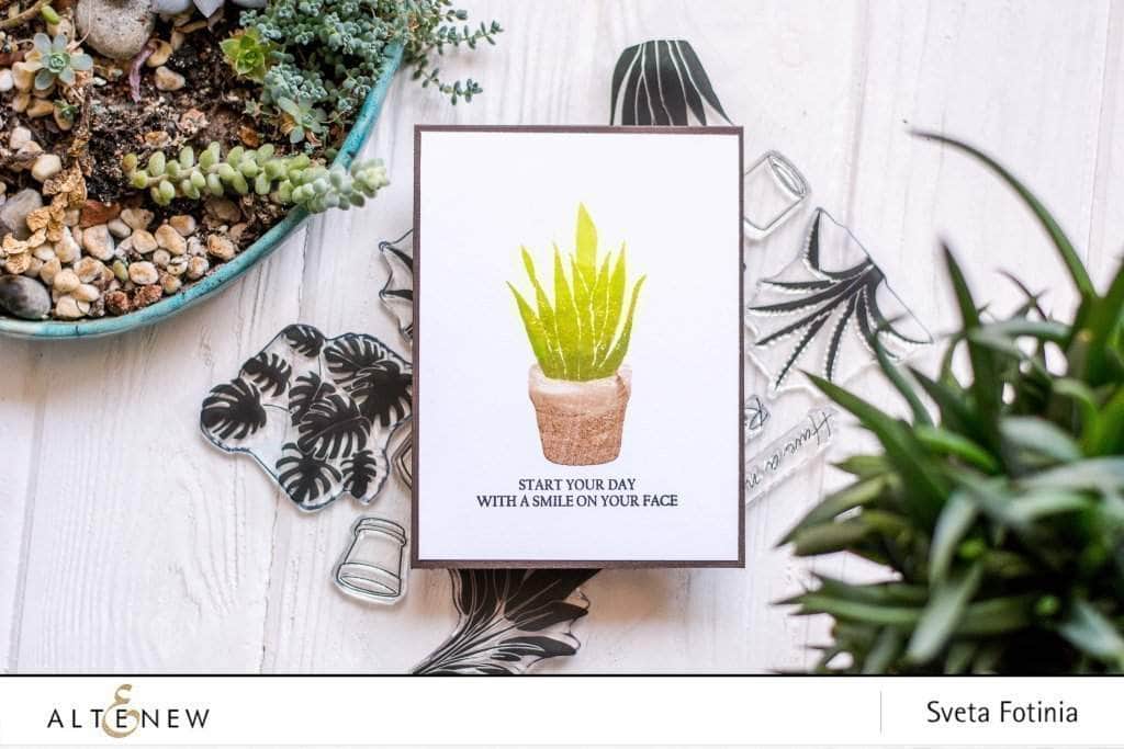 Photocentric Clear Stamps Potted Plants Stamp Set
