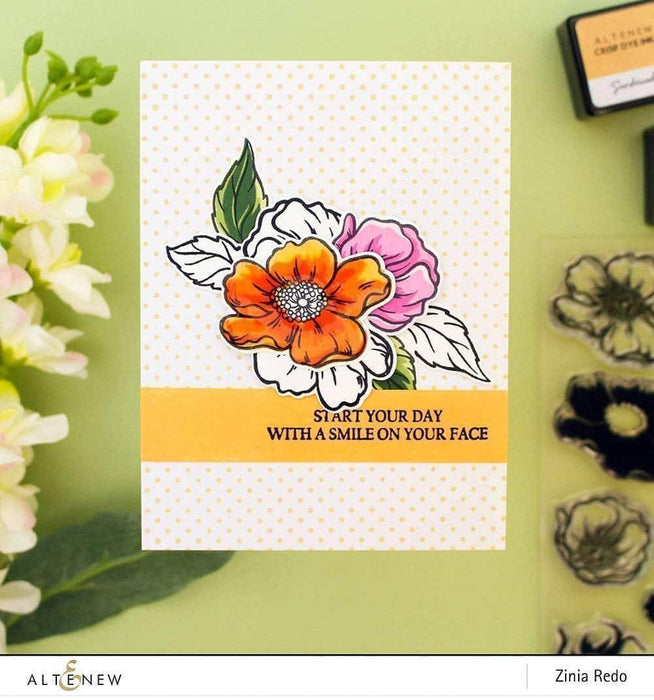 Z - Potted Plants Stamp Set