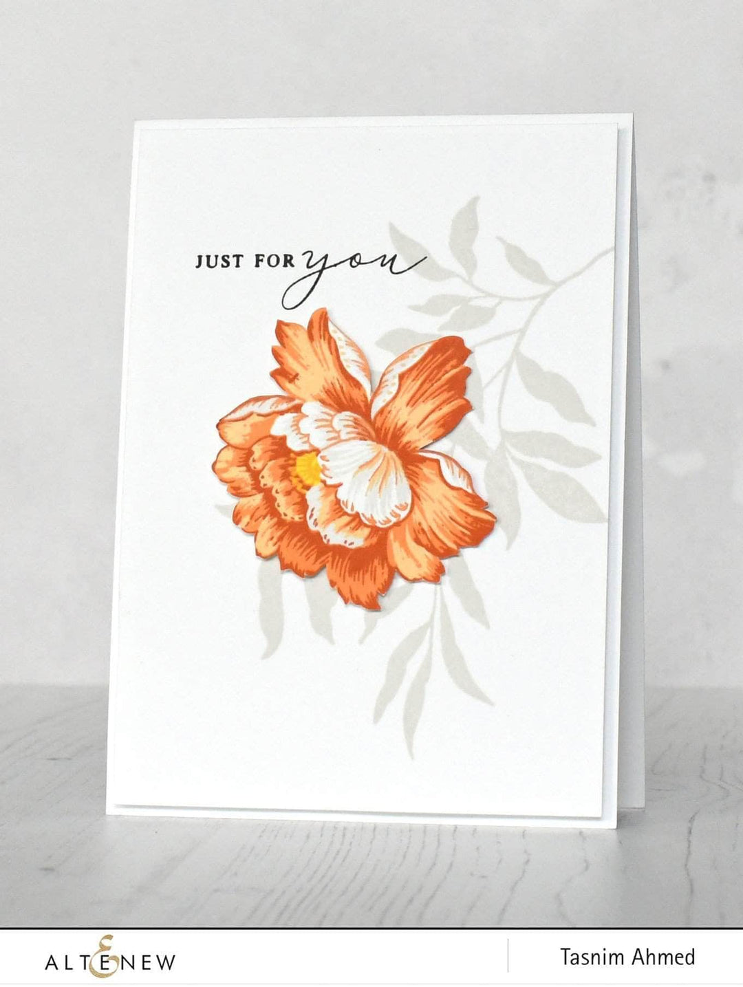 Photocentric Clear Stamps Regal Beauty Stamp Set