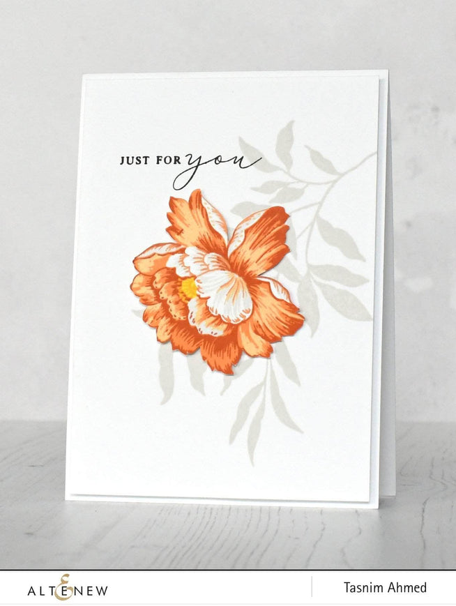 Photocentric Clear Stamps Regal Beauty Stamp Set