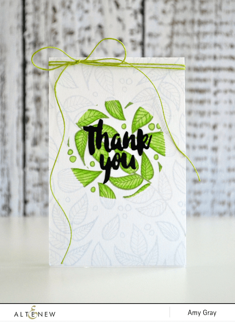 Photocentric Clear Stamps Striped Florals Stamp Set