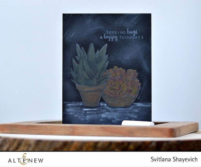 Photocentric Clear Stamps Succulents Stamp Set