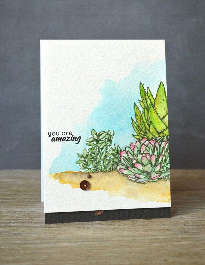 Photocentric Clear Stamps Succulents Stamp Set