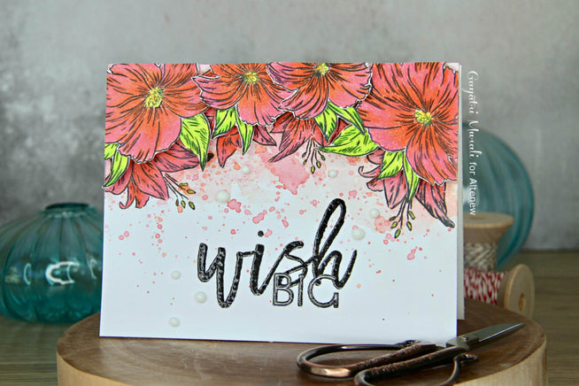 Photocentric Clear Stamps Wish Big Stamp Set