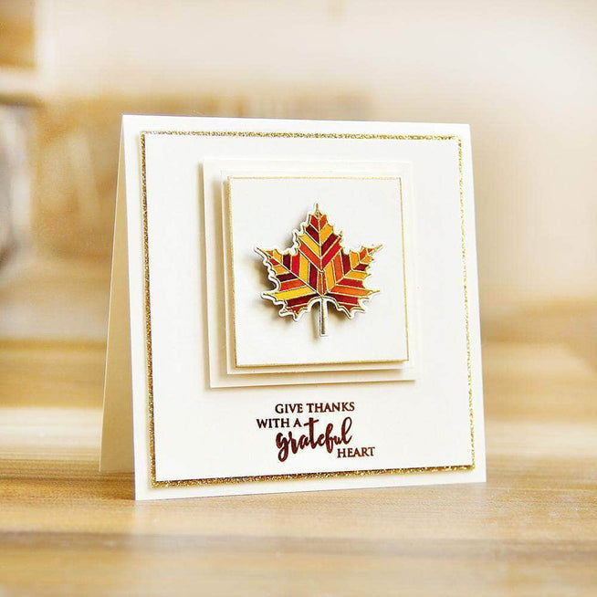 Photocentric Clear Stamps With Gratitude Stamp Set