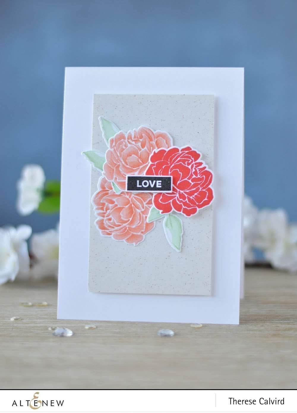 Photocentric Clear Stamps With Sympathy Stamp Set