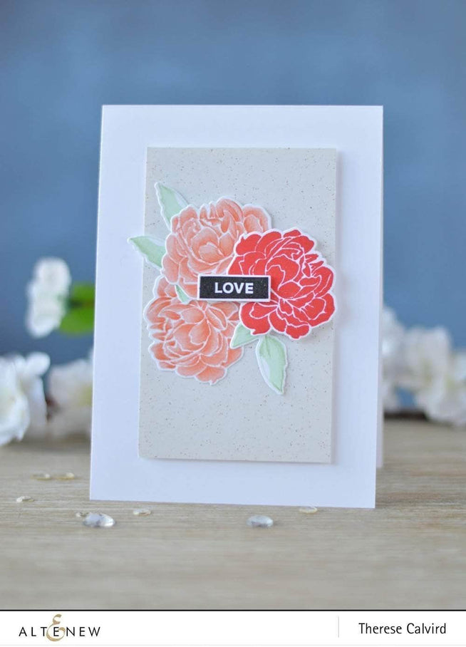 Photocentric Clear Stamps With Sympathy Stamp Set