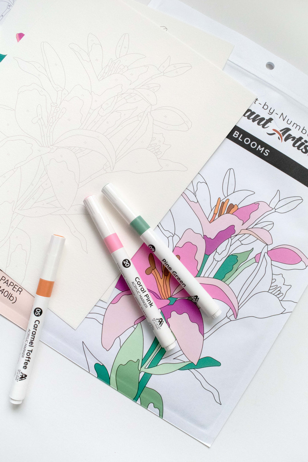 Instant Artist Paint-by-Numbers Bundle