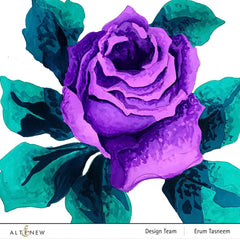 EXP Factors Coloring Book Paint-by-Number: Classical Roses