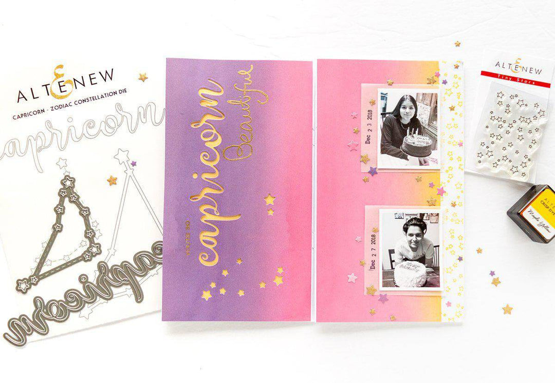 Altenew Die Bundle Amazing Astrology Stand-alone Die Bundle