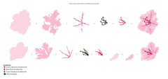 Part A-Glitz Art Craft Co.,LTD Dies Craft-A-Flower: Sunburst Azalea Layering Die Set