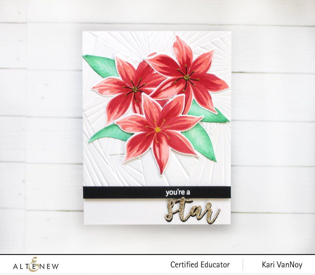 Part A-Glitz Art Craft Co.,LTD Dies Stunning Starflowers Die Set