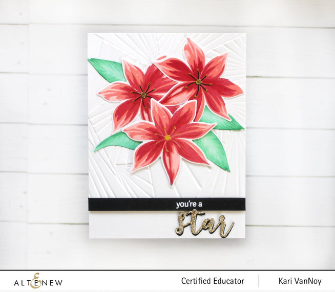 Part A-Glitz Art Craft Co.,LTD Dies Stunning Starflowers Die Set