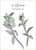 Part A-Glitz Art Craft Co.,LTD Dies Tall Foliage Die Set