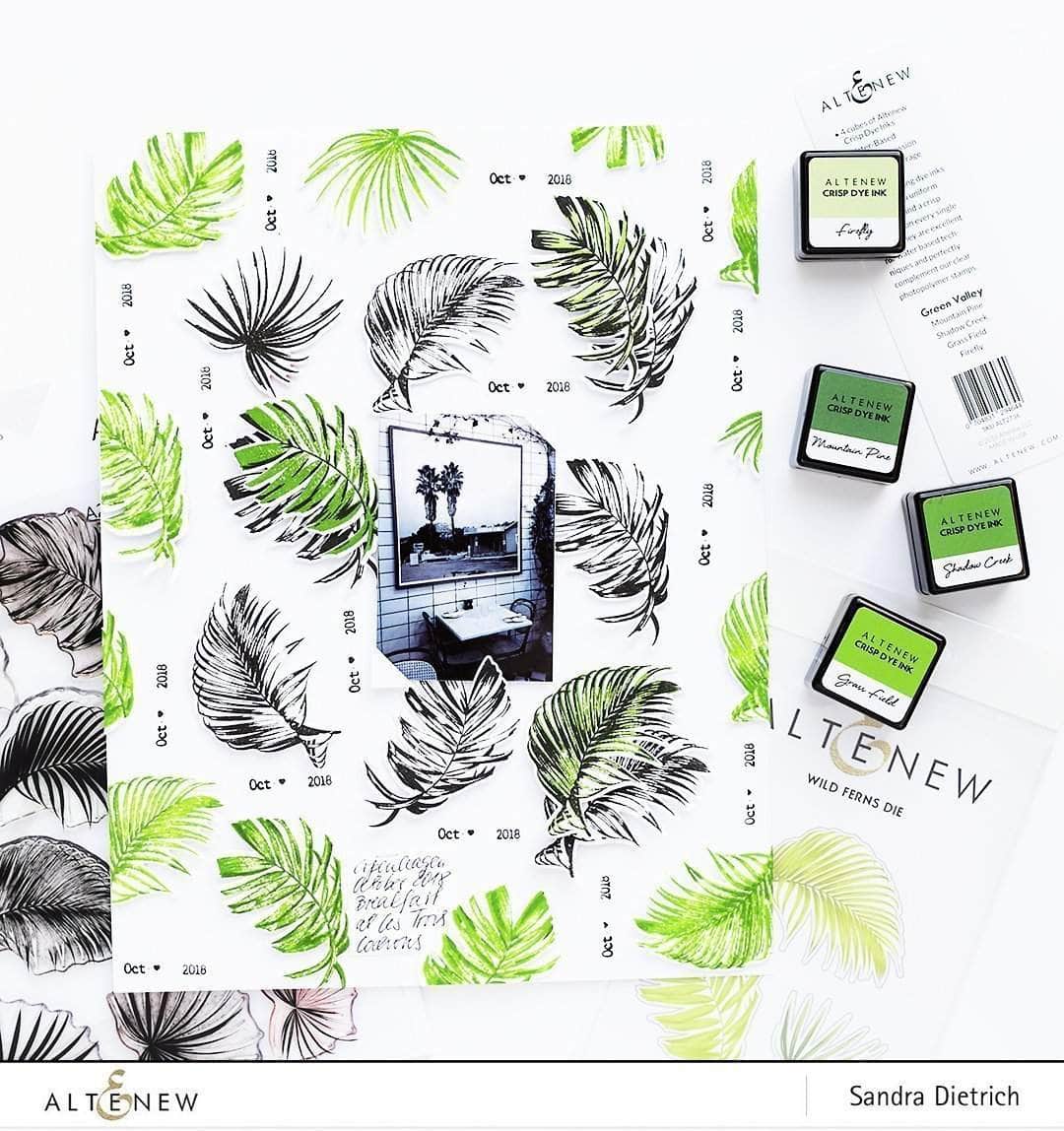Part A-Glitz Art Craft Co.,LTD Dies Wild Ferns Die Set