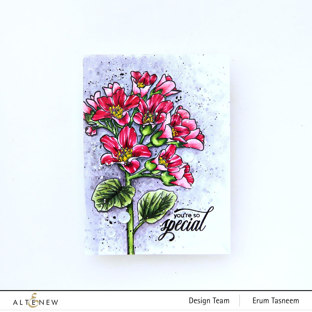 Part A-Glitz Art Craft Co.,LTD Dies Bergenia Builder Die Set