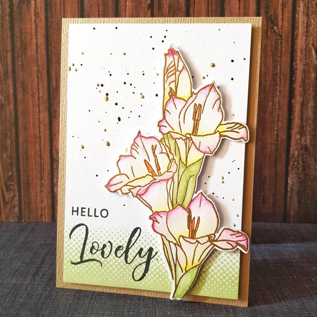 Part A-Glitz Art Craft Co.,LTD Dies Hello Gorgeous Die Set