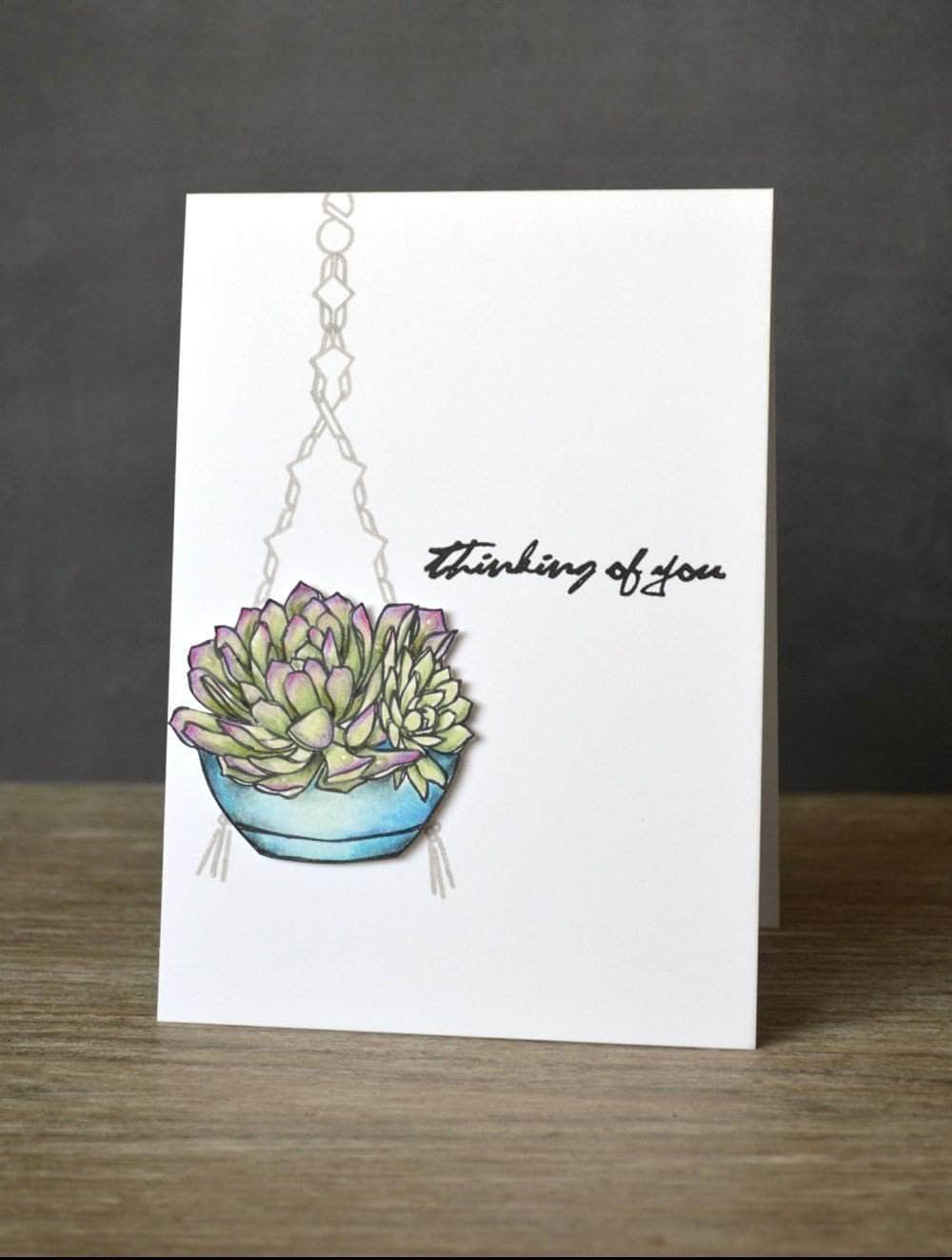 Z - Succulents Die Set