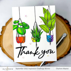 Altenew Dynamic Duo Dynamic Duo: Hanging Houseplants