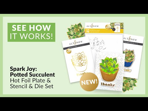 Spark Joy: Potted Succulent