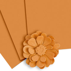 Crafty Necessities Cardstock Bundle