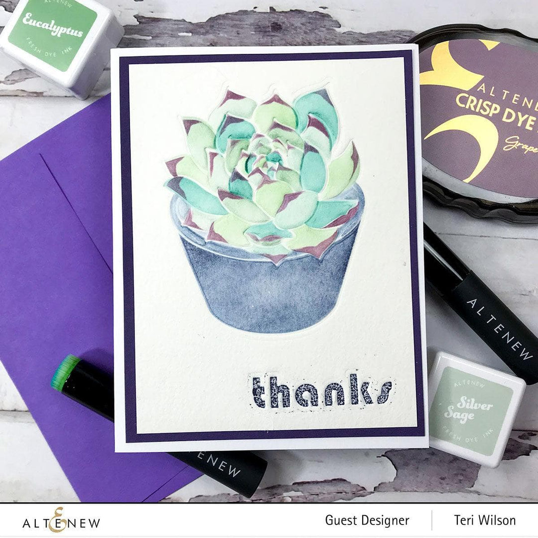 Altenew Spark Joy Spark Joy: Potted Succulent