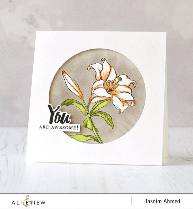 Altenew Stamp Bundle Better Together Stamp Bundle