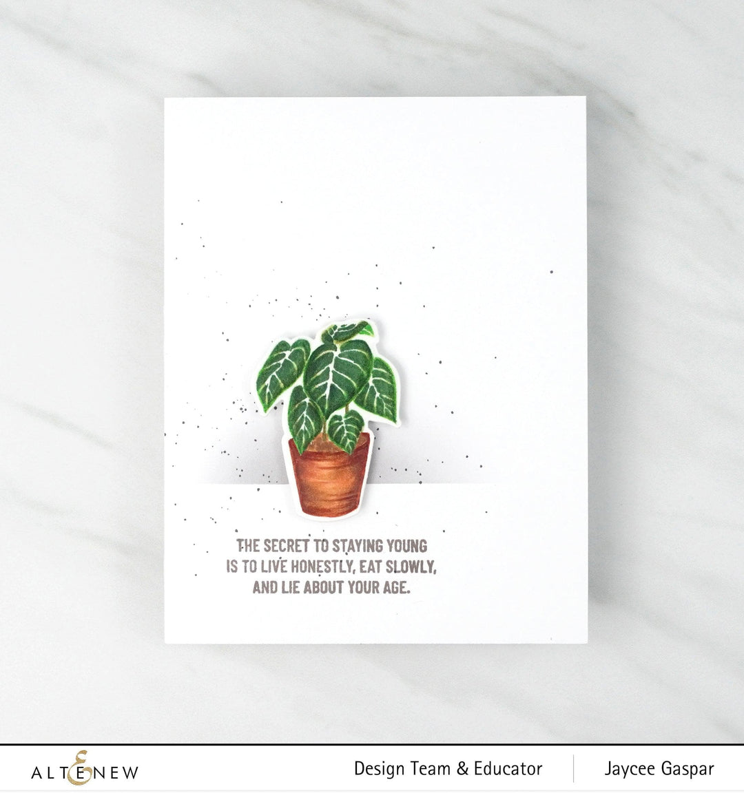 Altenew Stamp & Die Bundle Adorable Anthurium Stamp & Die Bundle