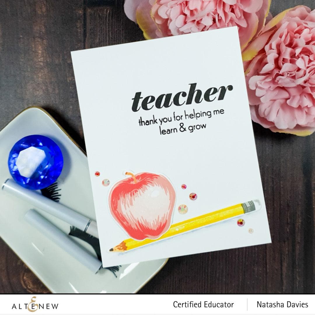 Altenew Stamp & Die Bundle Educators Rule Stamp & Die Bundle