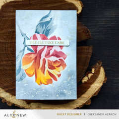One-Go Sentiments Bundle