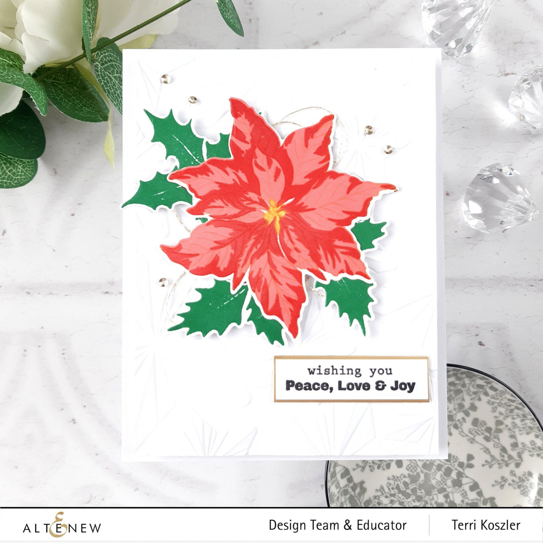 Poinsettia & Berries