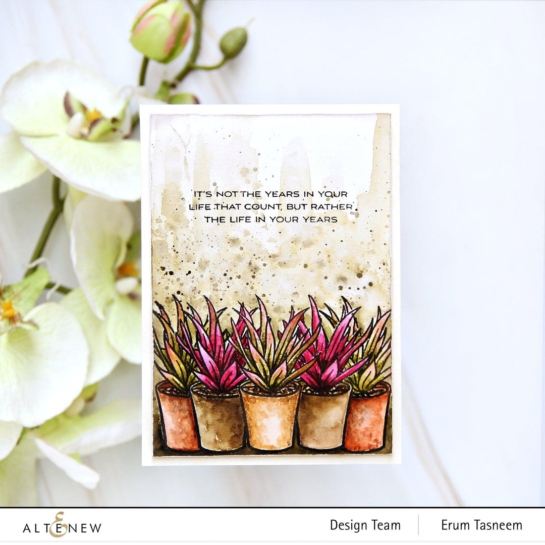 Altenew Stamp & Die Bundle Potted Succulent Stamp & Die Bundle