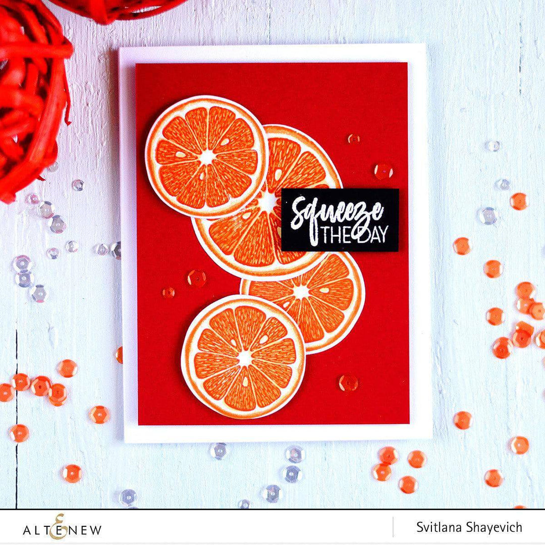 Altenew Stamp & Die Bundle Main Squeeze Stamp & Die Bundle