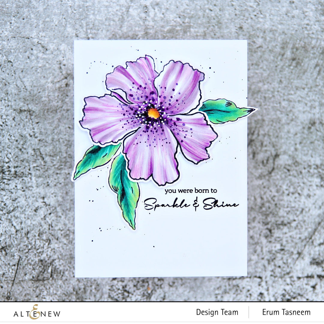 Altenew Stamp & Die & Stencil Bundle Sparkled Stamp & Die & Mask Stencil Bundle